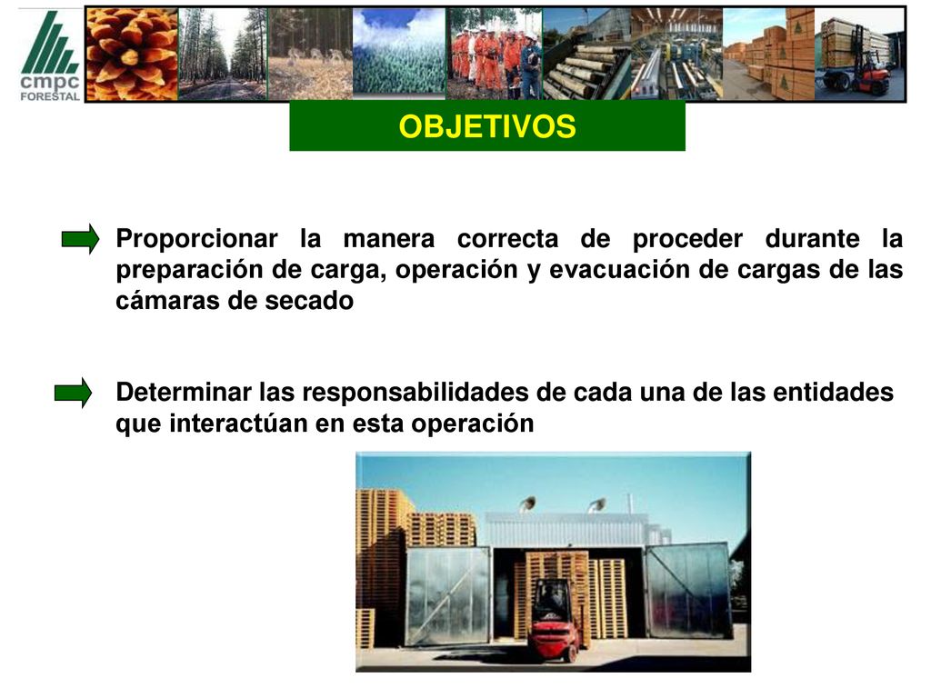 OBJETIVOS Proporcionar la manera correcta de proceder durante la preparación de carga, operación y evacuación de cargas de las cámaras de secado.