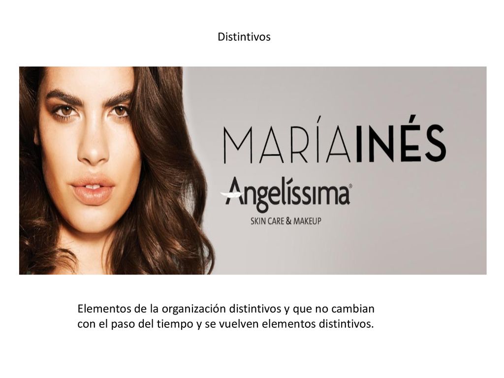 Distintivos Elementos de la organización distintivos y que no cambian con el paso del tiempo y se vuelven elementos distintivos.