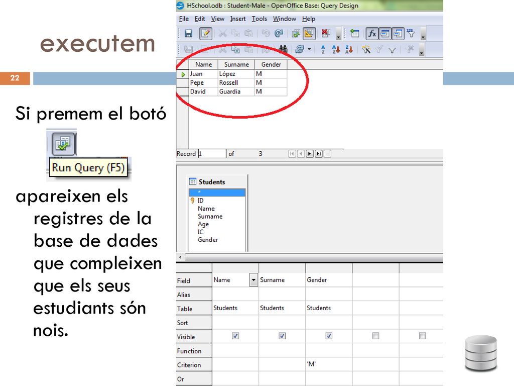 executem Si premem el botó apareixen els registres de la base de dades que compleixen que els seus estudiants són nois.