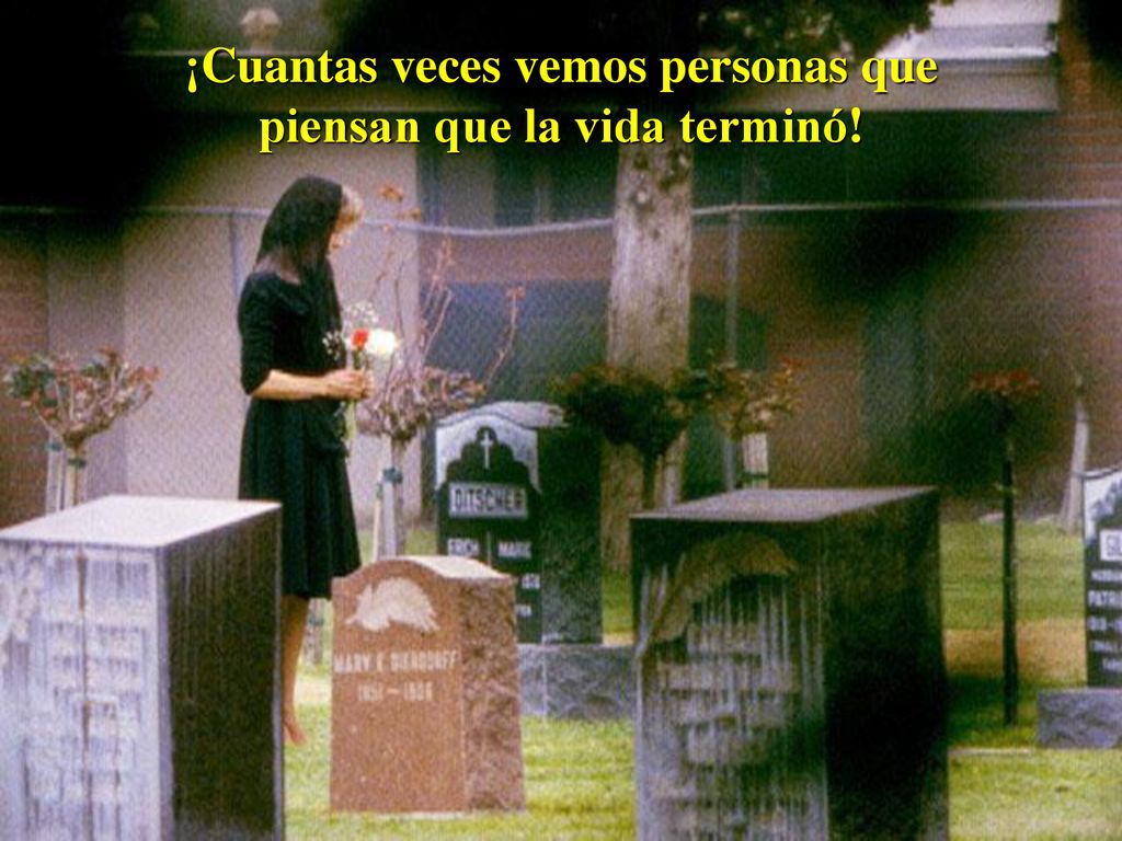 ¡Cuantas veces vemos personas que piensan que la vida terminó!