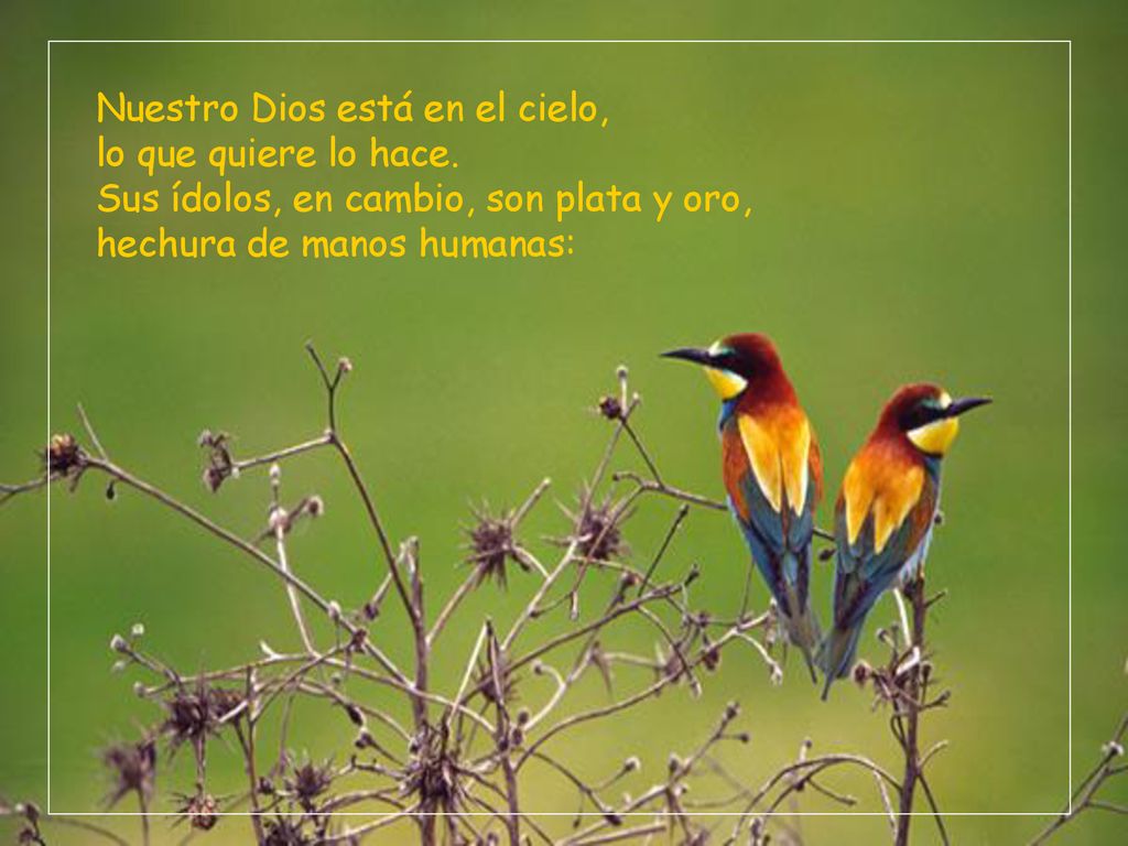 Nuestro Dios está en el cielo, lo que quiere lo hace