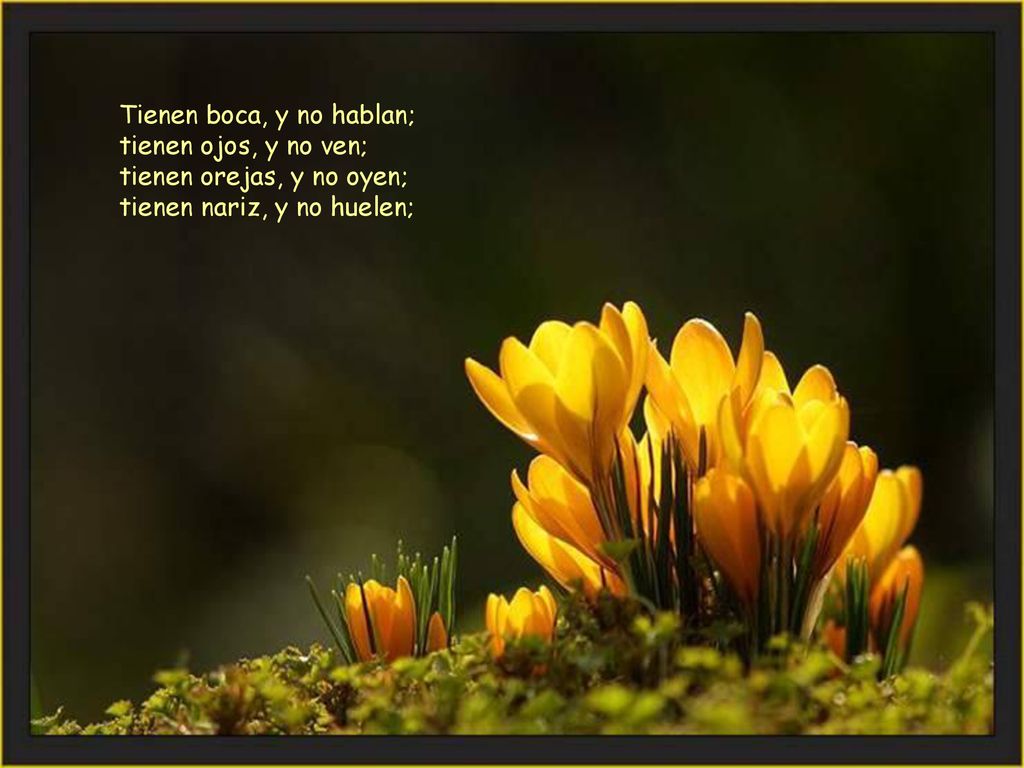Tienen boca, y no hablan; tienen ojos, y no ven; tienen orejas, y no oyen; tienen nariz, y no huelen;