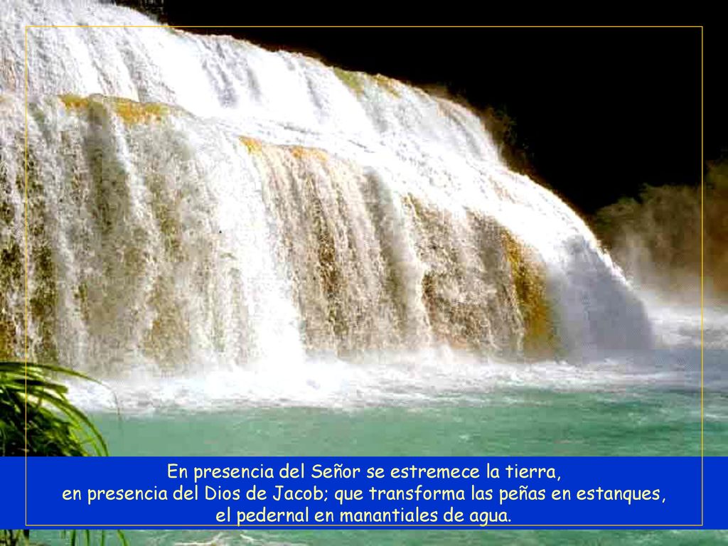 En presencia del Señor se estremece la tierra, en presencia del Dios de Jacob; que transforma las peñas en estanques, el pedernal en manantiales de agua.