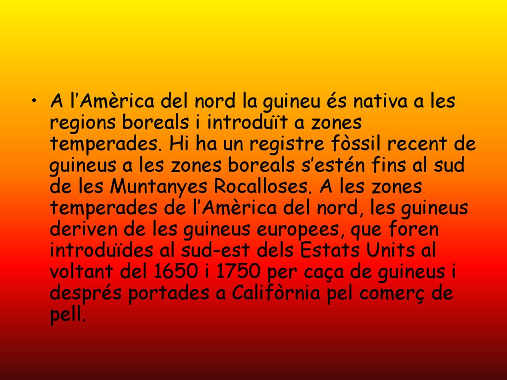 A l’Amèrica del nord la guineu és nativa a les regions boreals i introduït a zones temperades.