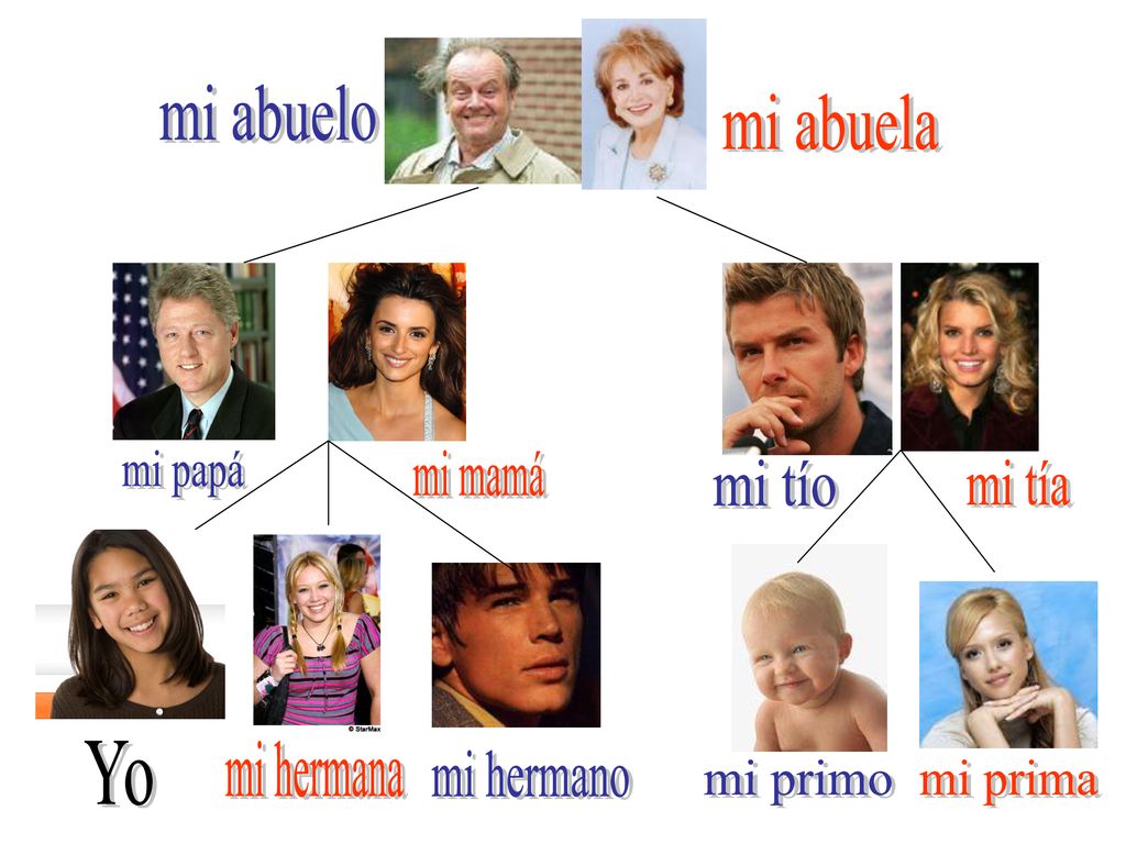 mi abuelo mi abuela mi papá mi mamá mi tío mi tía Yo mi hermana mi hermano mi primo mi prima