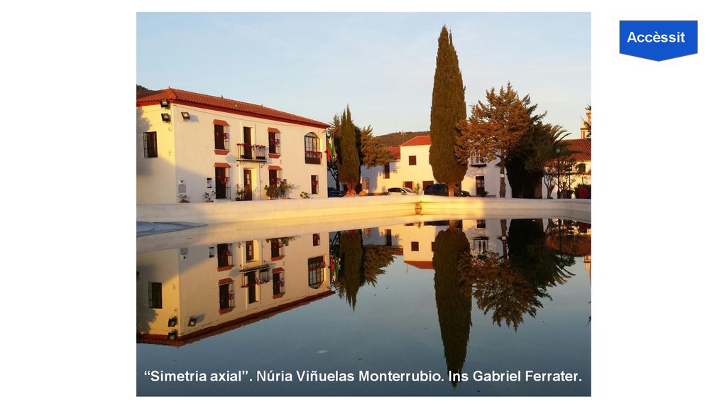 Accèssit Simetria axial . Núria Viñuelas Monterrubio. Ins Gabriel Ferrater.