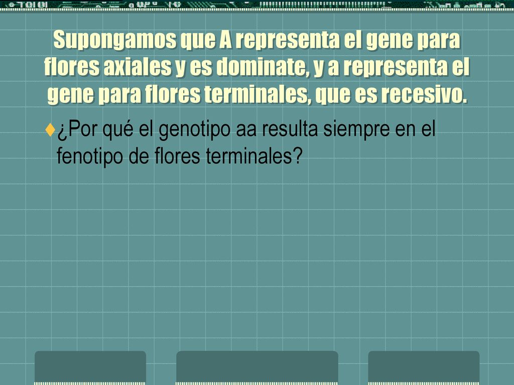 Supongamos que A representa el gene para flores axiales y es dominate, y a representa el gene para flores terminales, que es recesivo.