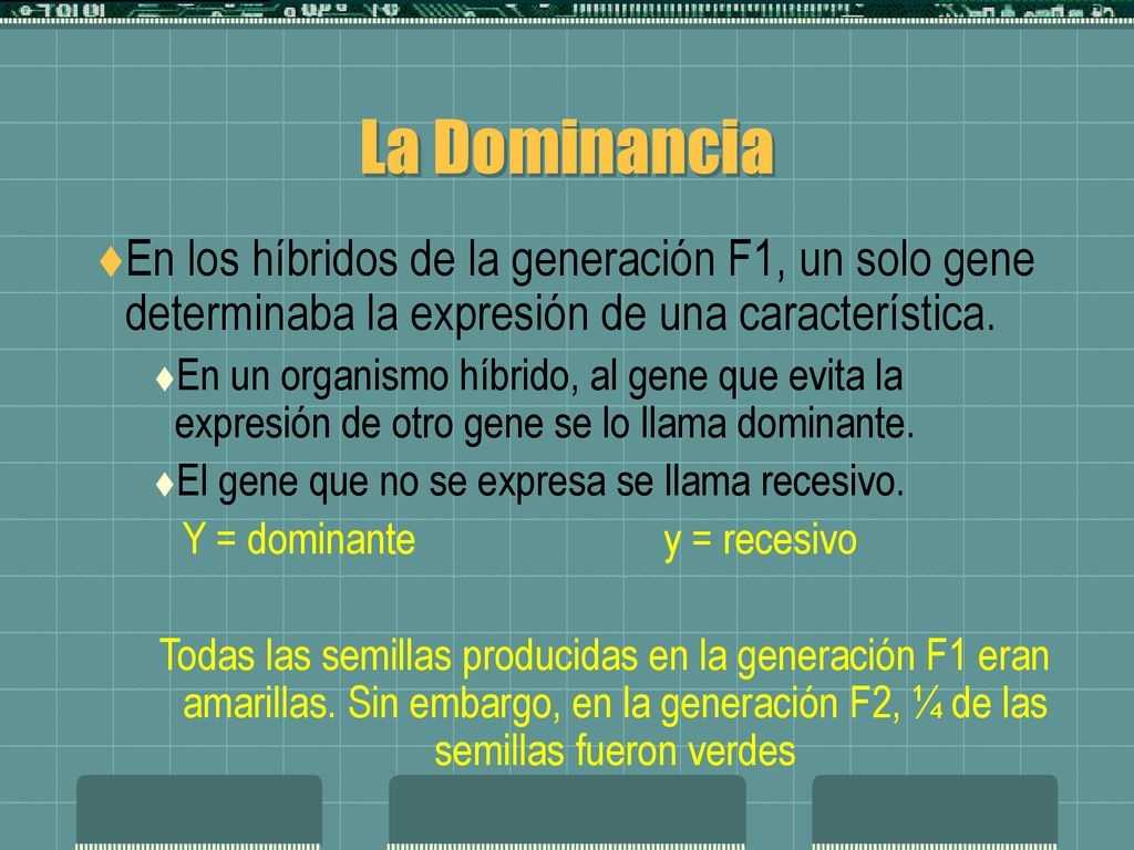 La Dominancia En los híbridos de la generación F1, un solo gene determinaba la expresión de una característica.
