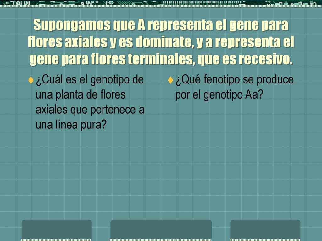 Supongamos que A representa el gene para flores axiales y es dominate, y a representa el gene para flores terminales, que es recesivo.