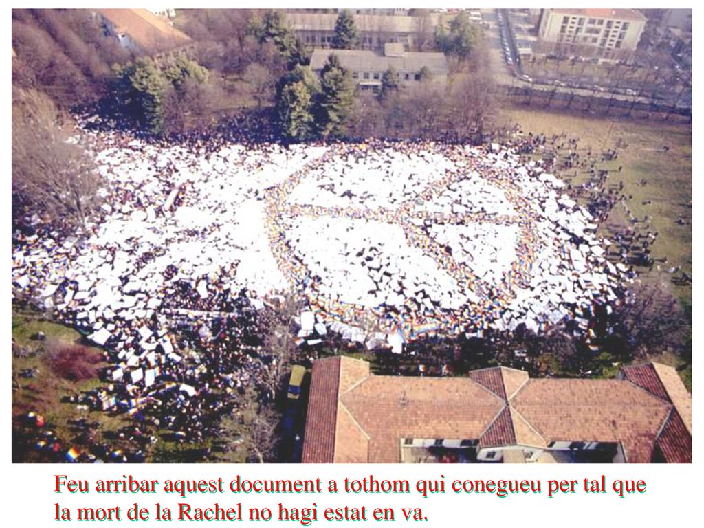 Feu arribar aquest document a tothom qui conegueu per tal que la mort de la Rachel no hagi estat en va.
