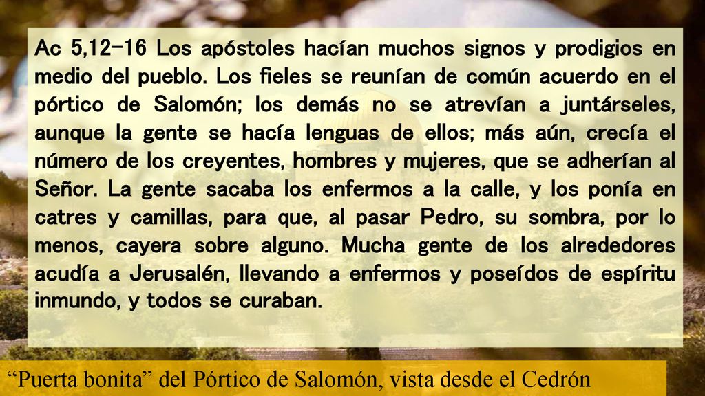 Ac 5,12-16 Los apóstoles hacían muchos signos y prodigios en medio del pueblo. Los fieles se reunían de común acuerdo en el pórtico de Salomón; los demás no se atrevían a juntárseles, aunque la gente se hacía lenguas de ellos; más aún, crecía el número de los creyentes, hombres y mujeres, que se adherían al Señor. La gente sacaba los enfermos a la calle, y los ponía en catres y camillas, para que, al pasar Pedro, su sombra, por lo menos, cayera sobre alguno. Mucha gente de los alrededores acudía a Jerusalén, llevando a enfermos y poseídos de espíritu inmundo, y todos se curaban.