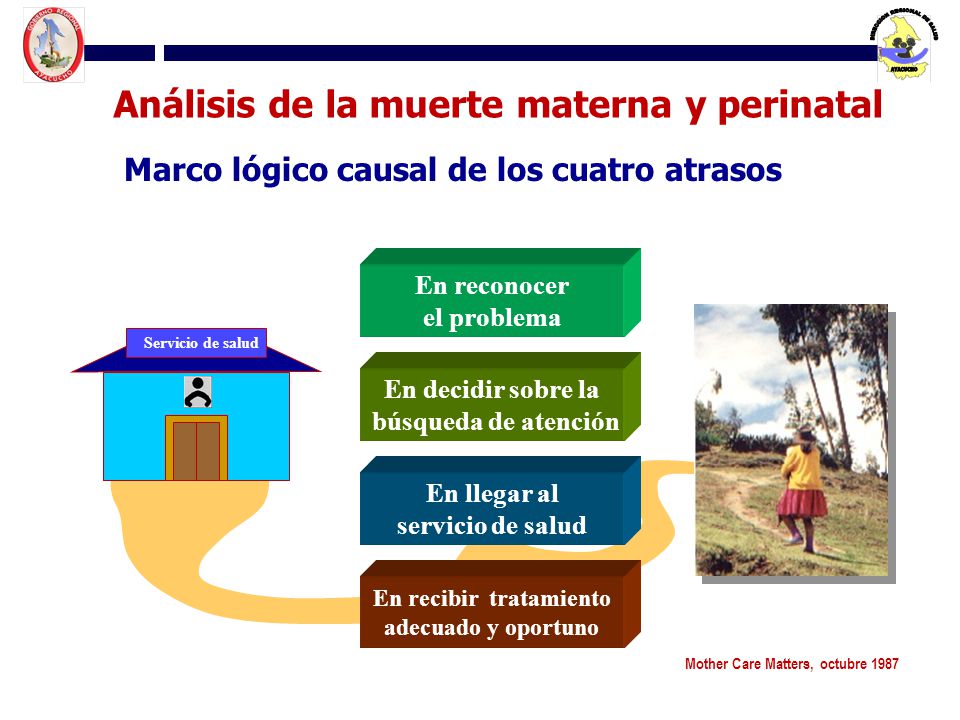 Análisis de la muerte materna y perinatal En recibir tratamiento