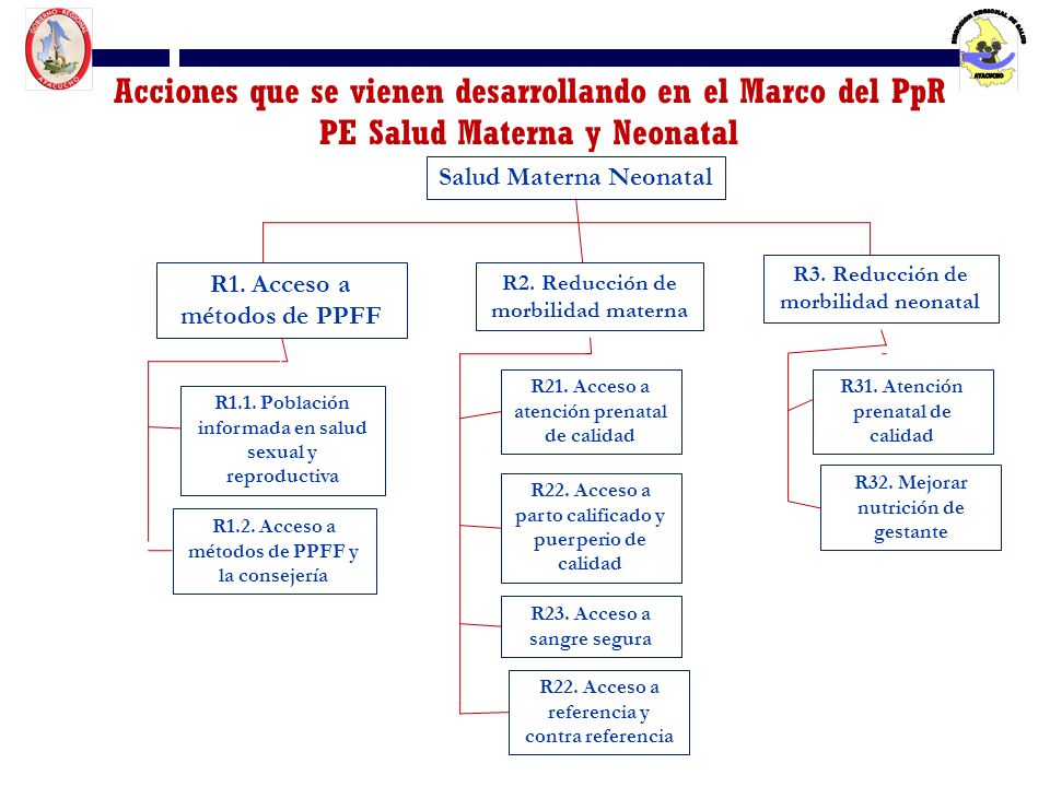 Acciones que se vienen desarrollando en el Marco del PpR PE Salud Materna y Neonatal