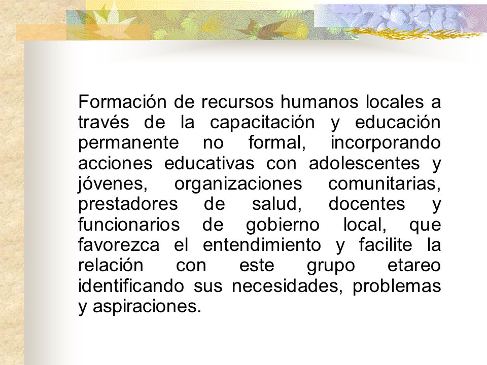Formación de recursos humanos locales a través de la capacitación y educación permanente no formal, incorporando acciones educativas con adolescentes y jóvenes, organizaciones comunitarias, prestadores de salud, docentes y funcionarios de gobierno local, que favorezca el entendimiento y facilite la relación con este grupo etareo identificando sus necesidades, problemas y aspiraciones.