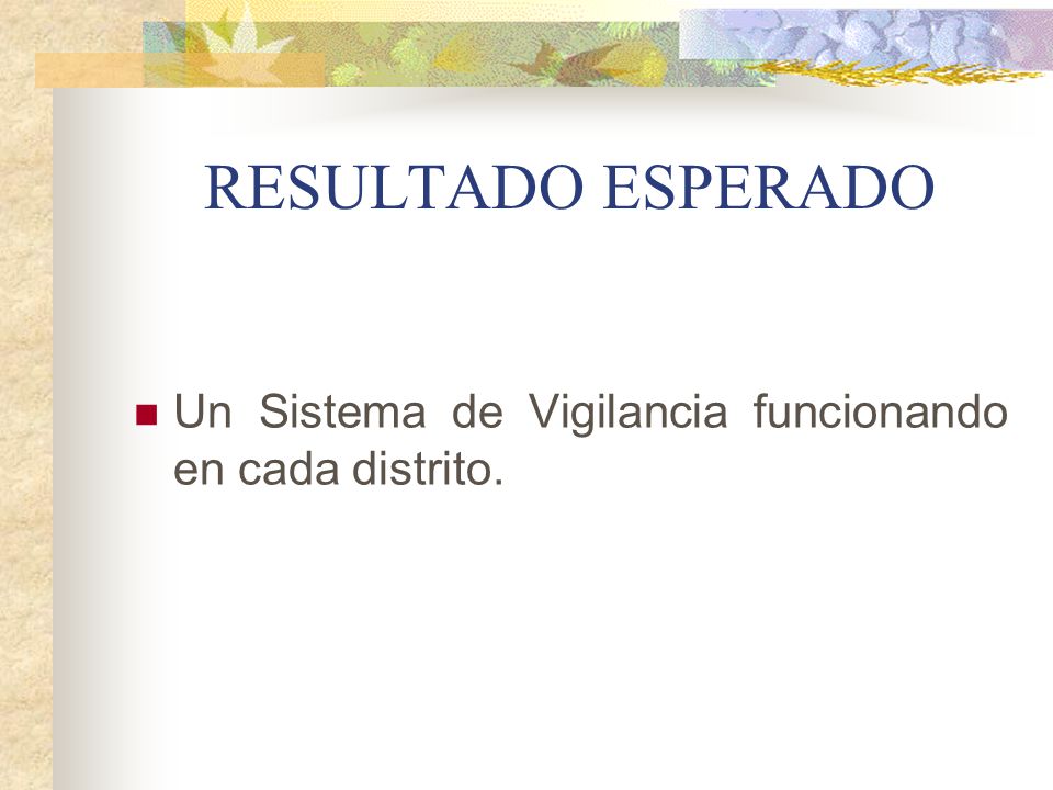 RESULTADO ESPERADO Un Sistema de Vigilancia funcionando en cada distrito.