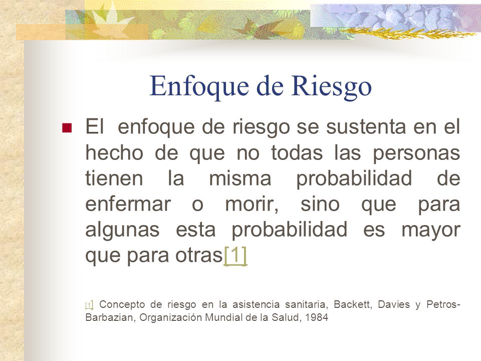 Enfoque de Riesgo