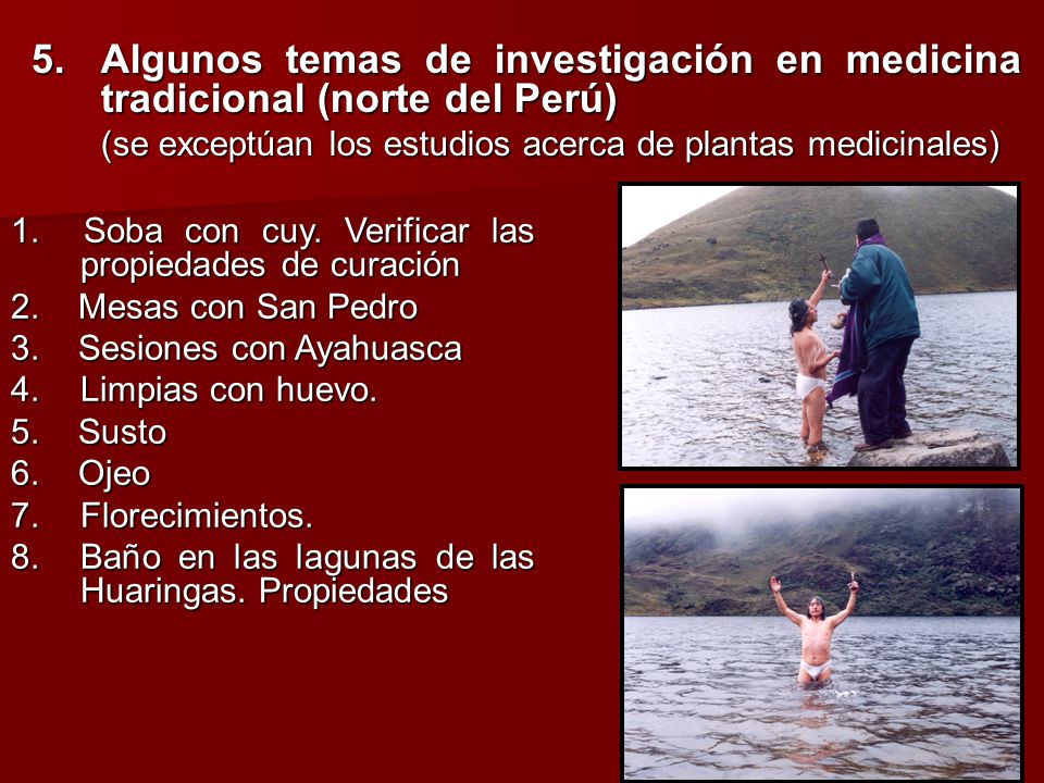5. Algunos temas de investigación en medicina tradicional (norte del Perú)