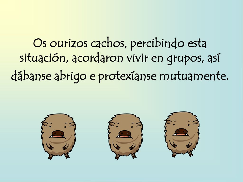 Os ourizos cachos, percibindo esta situación, acordaron vivir en grupos, así dábanse abrigo e protexíanse mutuamente.