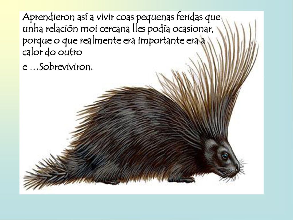 Aprendieron así a vivir coas pequenas feridas que unha relación moi cercana lles podía ocasionar, porque o que realmente era importante era a calor do outro