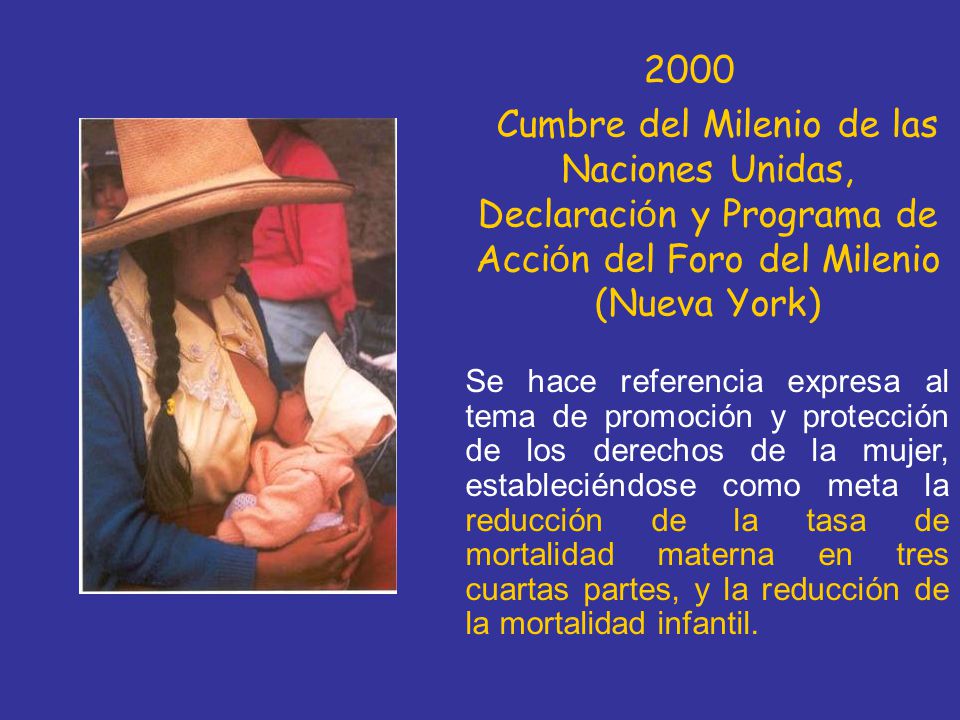 2000 Cumbre del Milenio de las Naciones Unidas, Declaración y Programa de Acción del Foro del Milenio (Nueva York)