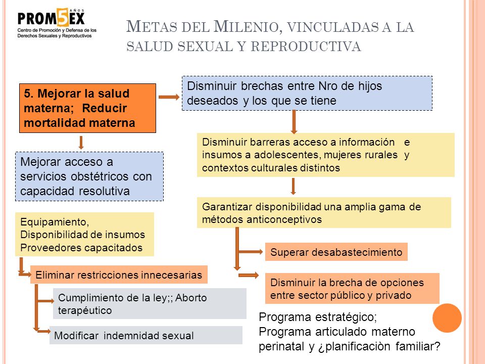 Metas del Milenio, vinculadas a la salud sexual y reproductiva