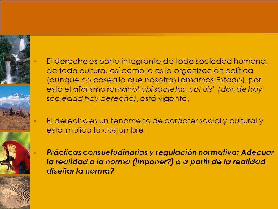 El derecho es parte integrante de toda sociedad humana, de toda cultura, así como lo es la organización política (aunque no posea lo que nosotros llamamos Estado), por esto el aforismo romano ubi societas, ubi uis (donde hay sociedad hay derecho), está vigente.