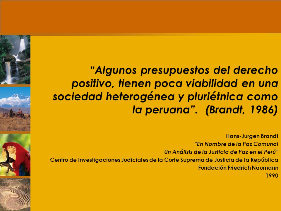 Algunos presupuestos del derecho positivo, tienen poca viabilidad en una sociedad heterogénea y pluriétnica como la peruana . (Brandt, 1986)