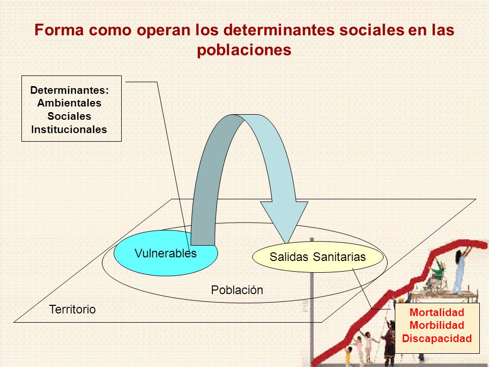 Forma como operan los determinantes sociales en las poblaciones