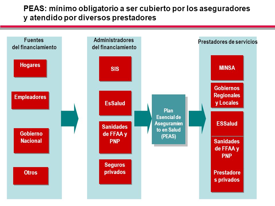 PEAS: mínimo obligatorio a ser cubierto por los aseguradores y atendido por diversos prestadores