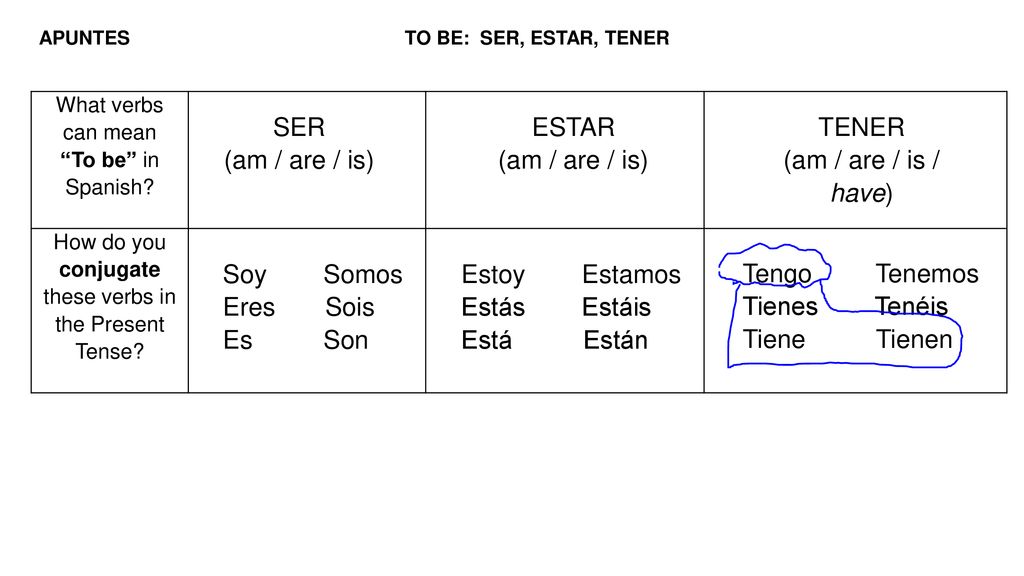 How do you conjugate these verbs in the Present Tense