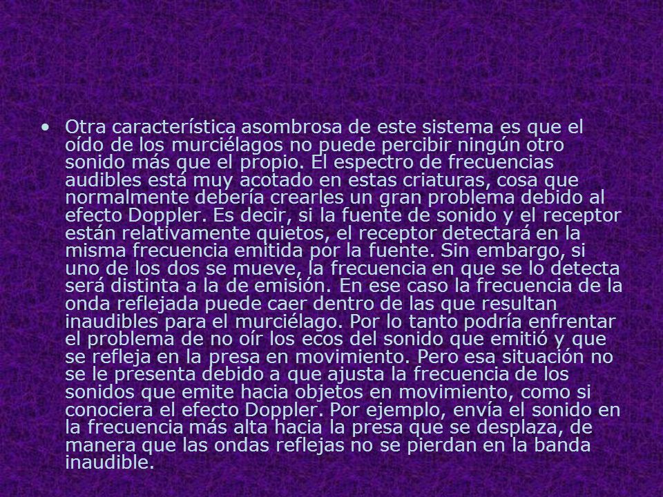 Otra característica asombrosa de este sistema es que el oído de los murciélagos no puede percibir ningún otro sonido más que el propio.
