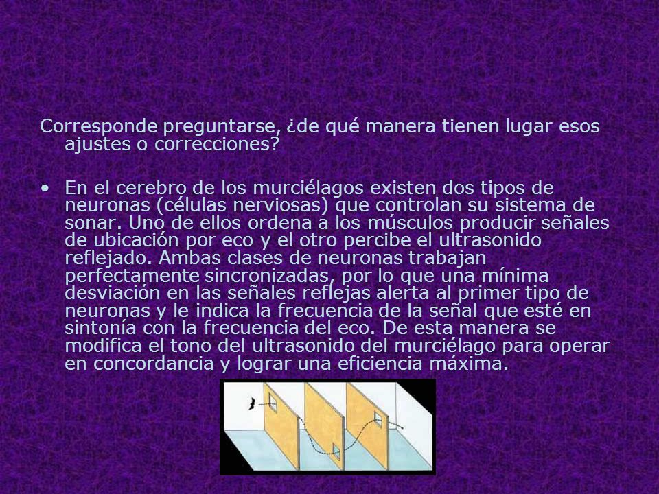 Corresponde preguntarse, ¿de qué manera tienen lugar esos ajustes o correcciones