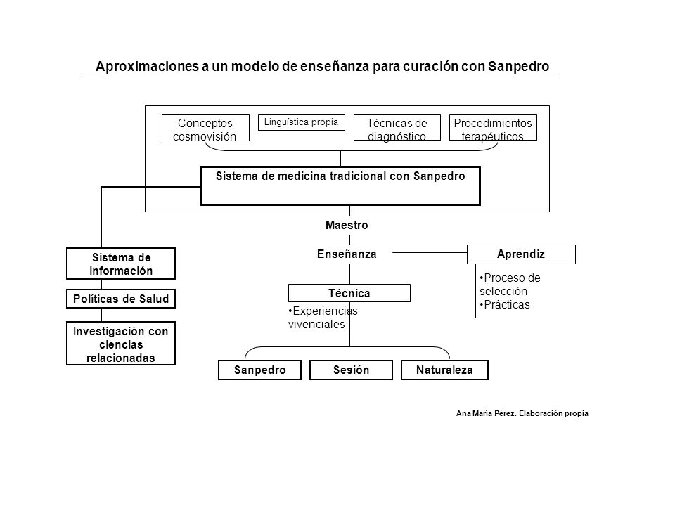 Aproximaciones a un modelo de enseñanza para curación con Sanpedro
