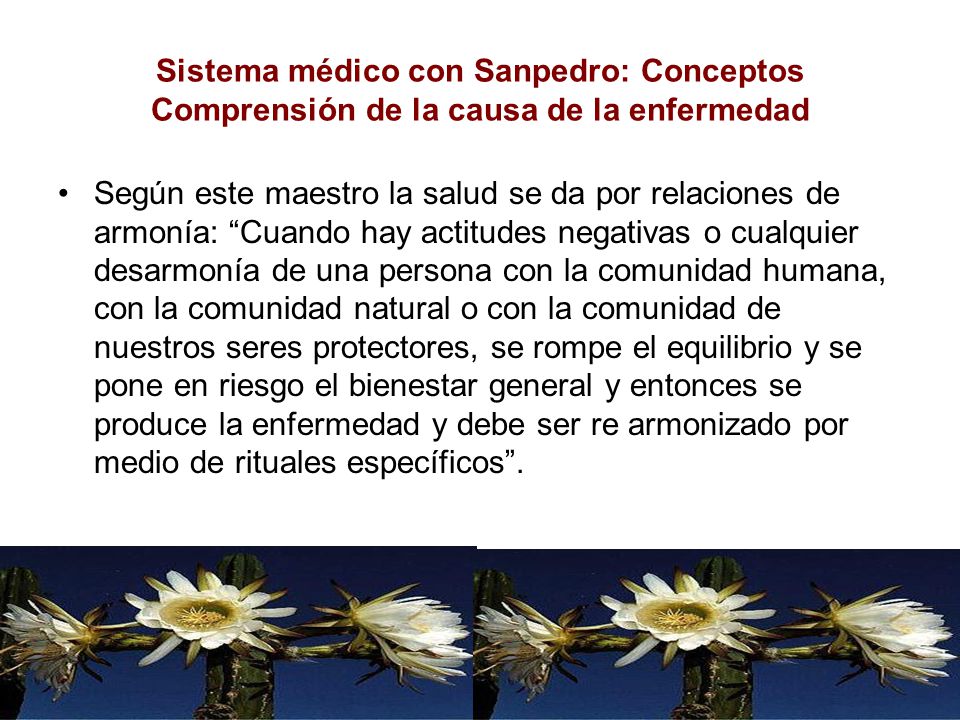 Sistema médico con Sanpedro: Conceptos Comprensión de la causa de la enfermedad
