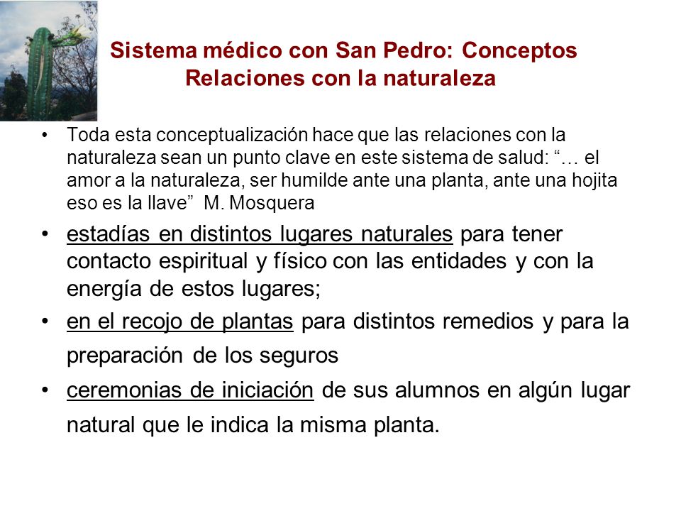 Sistema médico con San Pedro: Conceptos Relaciones con la naturaleza