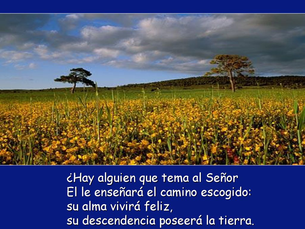 ¿Hay alguien que tema al Señor El le enseñará el camino escogido: su alma vivirá feliz, su descendencia poseerá la tierra.