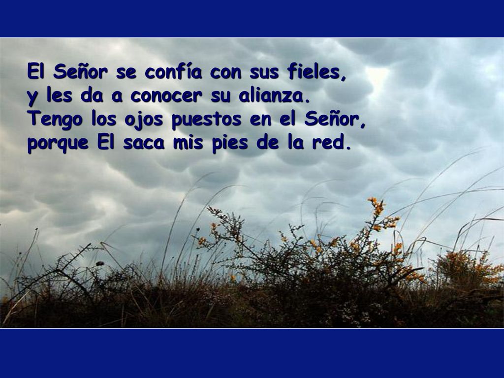 El Señor se confía con sus fieles, y les da a conocer su alianza