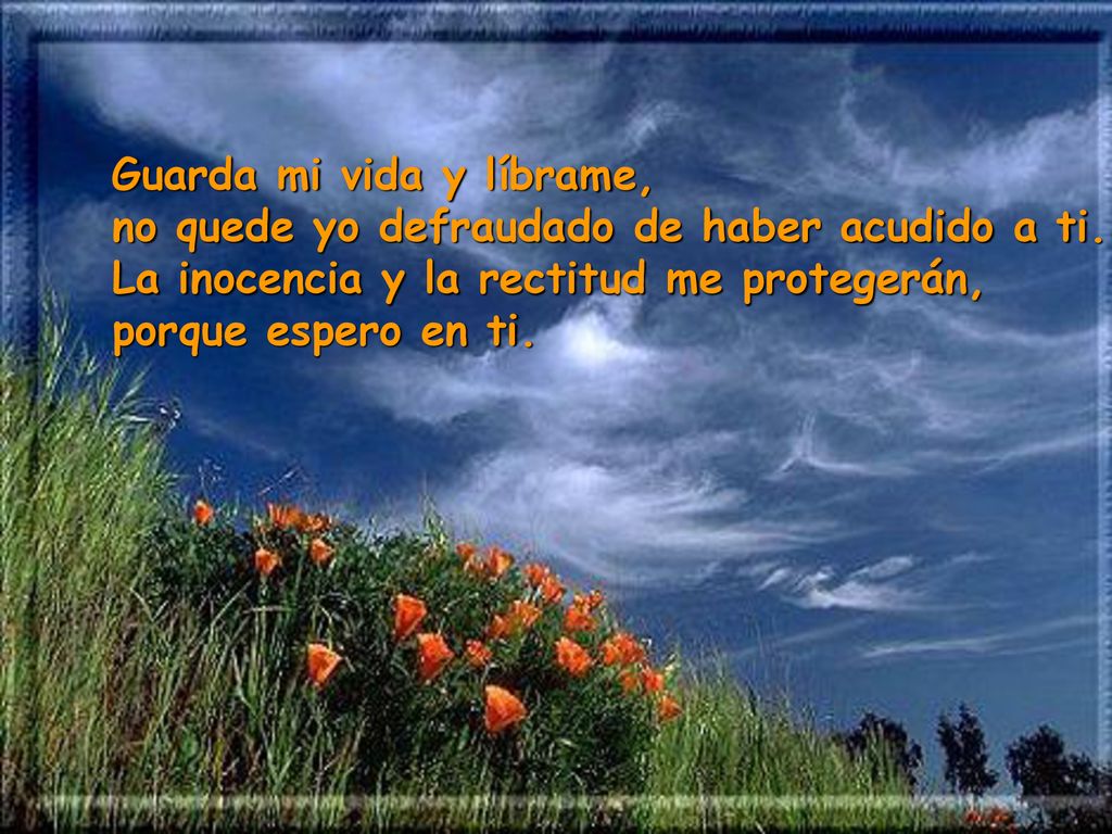 Guarda mi vida y líbrame, no quede yo defraudado de haber acudido a ti