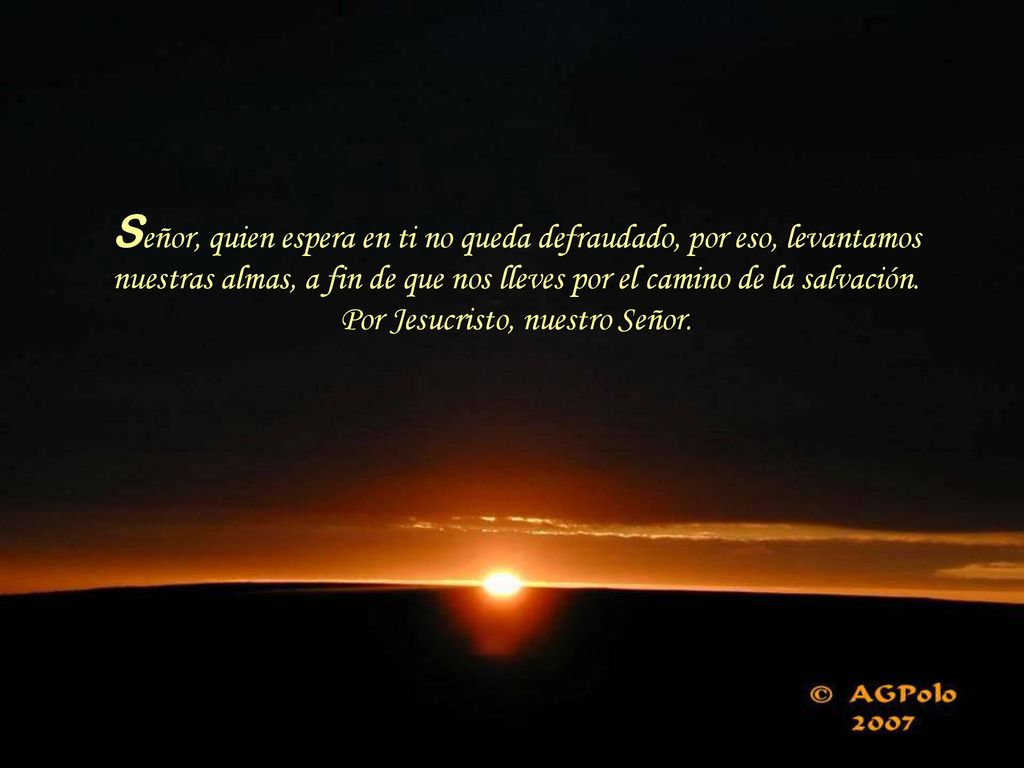 Señor, quien espera en ti no queda defraudado, por eso, levantamos nuestras almas, a fin de que nos lleves por el camino de la salvación.