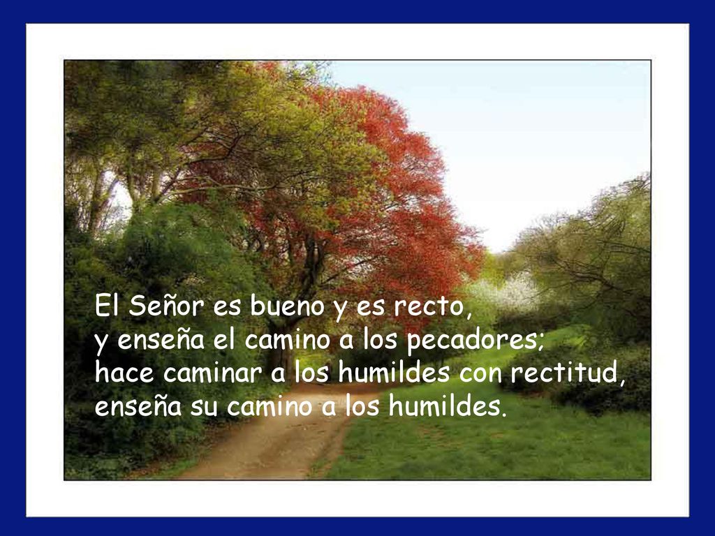 El Señor es bueno y es recto, y enseña el camino a los pecadores; hace caminar a los humildes con rectitud, enseña su camino a los humildes.