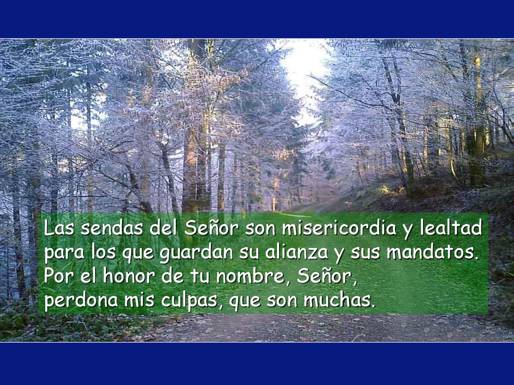 Las sendas del Señor son misericordia y lealtad para los que guardan su alianza y sus mandatos.