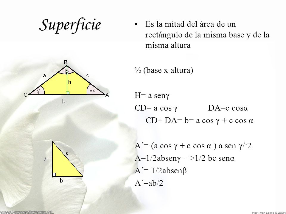 Superficie Es la mitad del área de un rectángulo de la misma base y de la misma altura. ½ (base x altura)