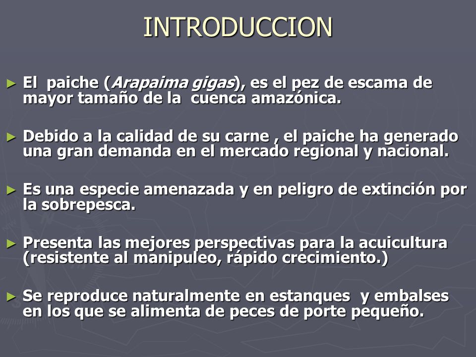INTRODUCCION El paiche (Arapaima gigas), es el pez de escama de mayor tamaño de la cuenca amazónica.