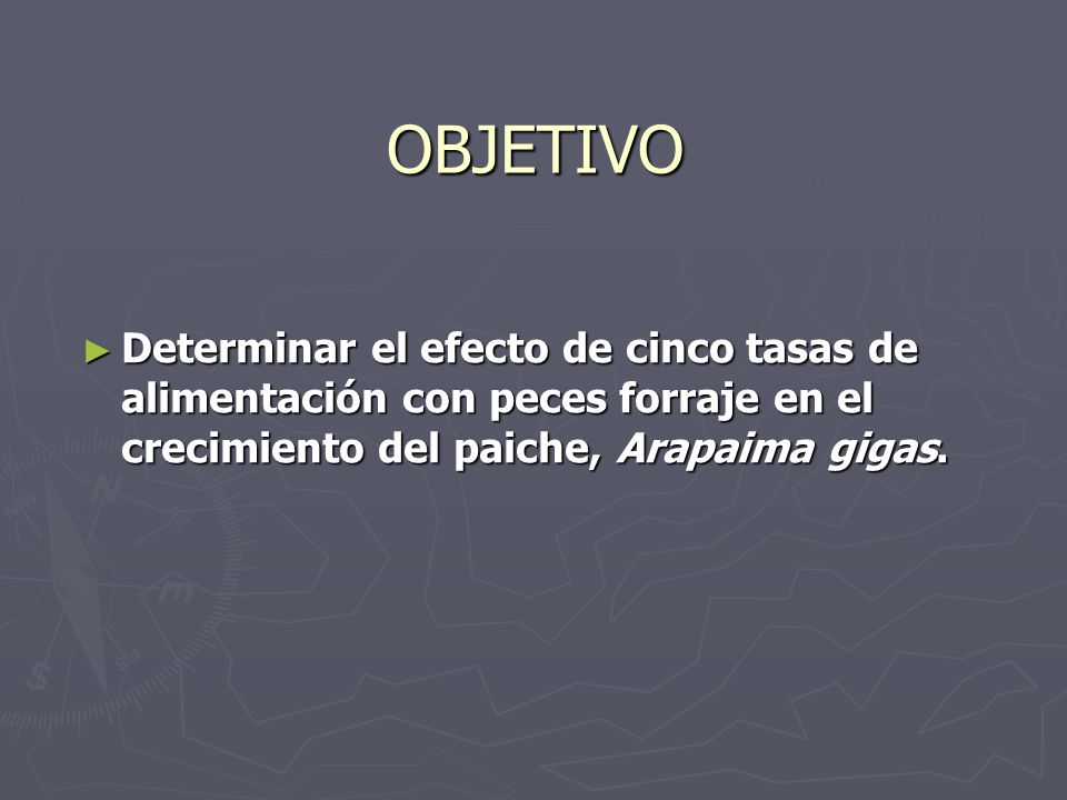 OBJETIVO Determinar el efecto de cinco tasas de alimentación con peces forraje en el crecimiento del paiche, Arapaima gigas.