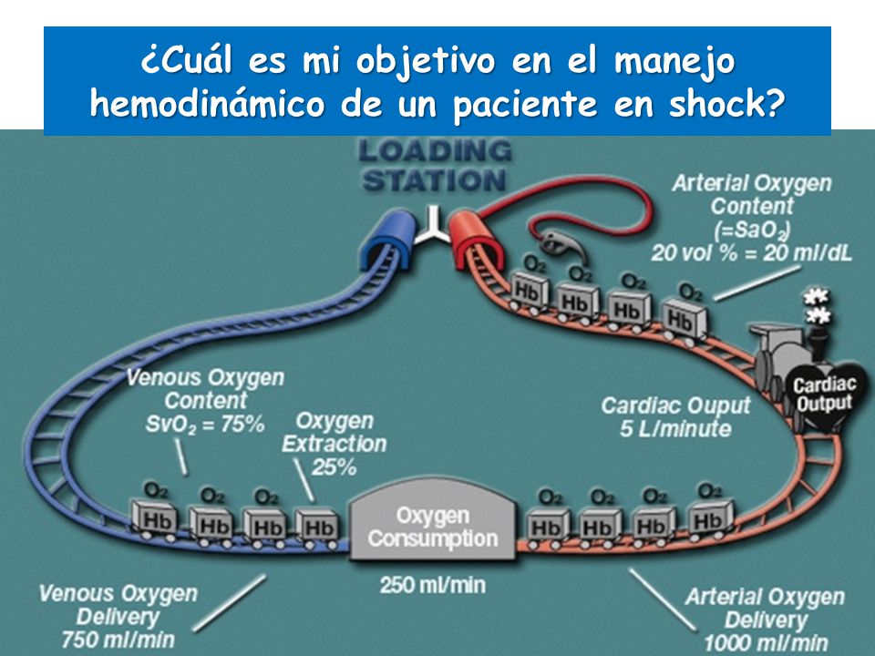 ¿Cuál es mi objetivo en el manejo hemodinámico de un paciente en shock