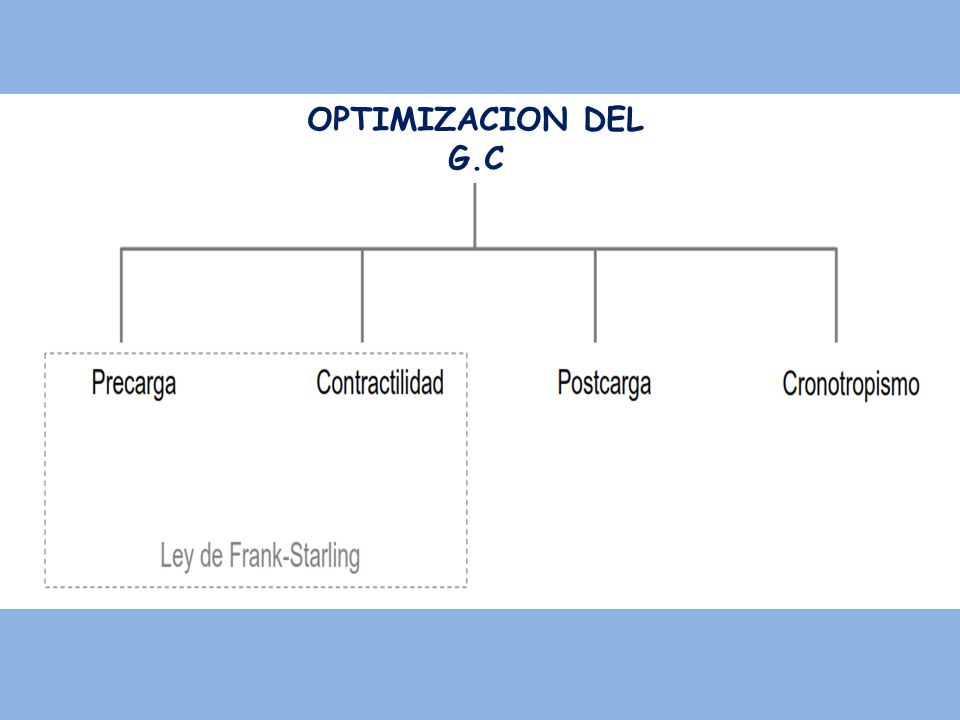 OPTIMIZACION DEL G.C