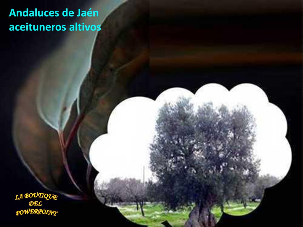 Andaluces de Jaén aceituneros altivos LA BOUTIQUE DEL POWERPOINT