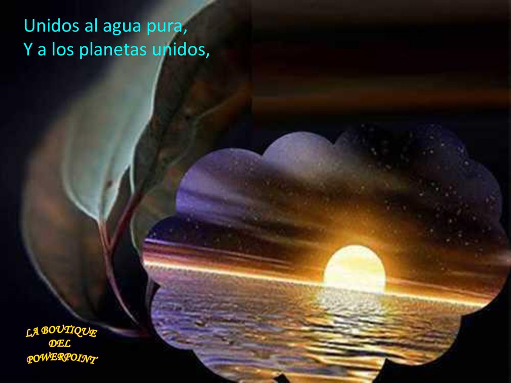Unidos al agua pura, Y a los planetas unidos, LA BOUTIQUE DEL
