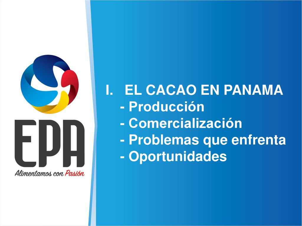 EL CACAO EN PANAMA - Producción - Comercialización - Problemas que enfrenta - Oportunidades
