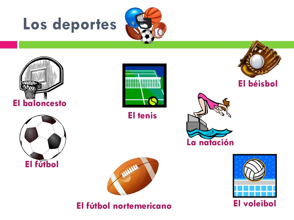 Los deportes El béisbol El baloncesto El tenis La natación El fútbol